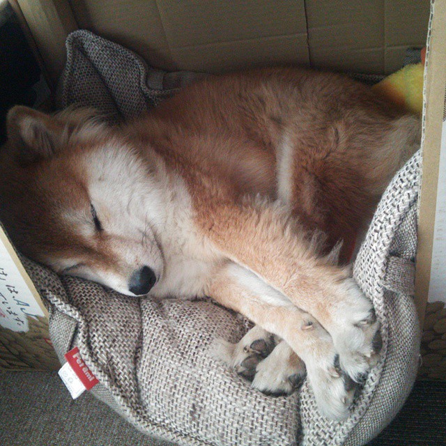 “生死瞬间：危机中的英雄救援”，生死危难之际