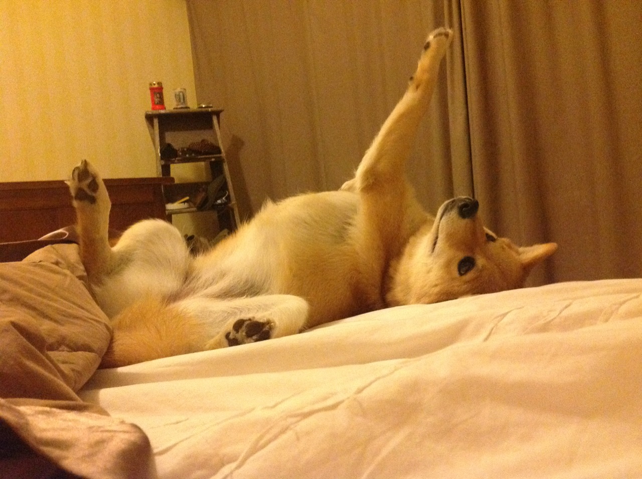 爱游戏体育官方网站-《Uzi：传奇归来，继续书写电竞新篇章》，电竞传奇uzi怎么解锁