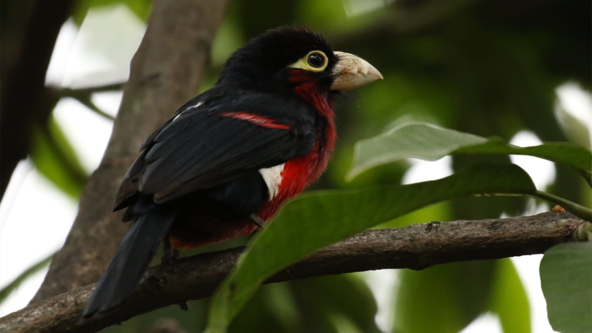 爱游戏在线登录入口-《电竞公益：比赛带动善款捐赠行动》，电竞赞助策划案