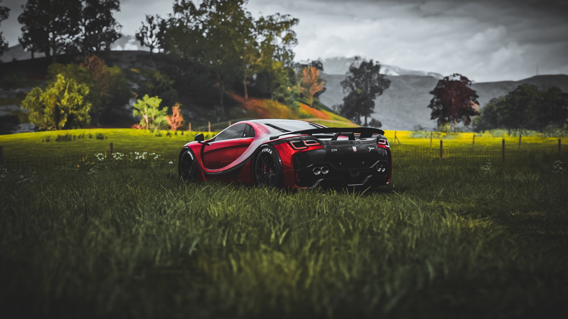 【冠军之路】运动员:从训练营到世界舞台的成长足迹,运动冠军2