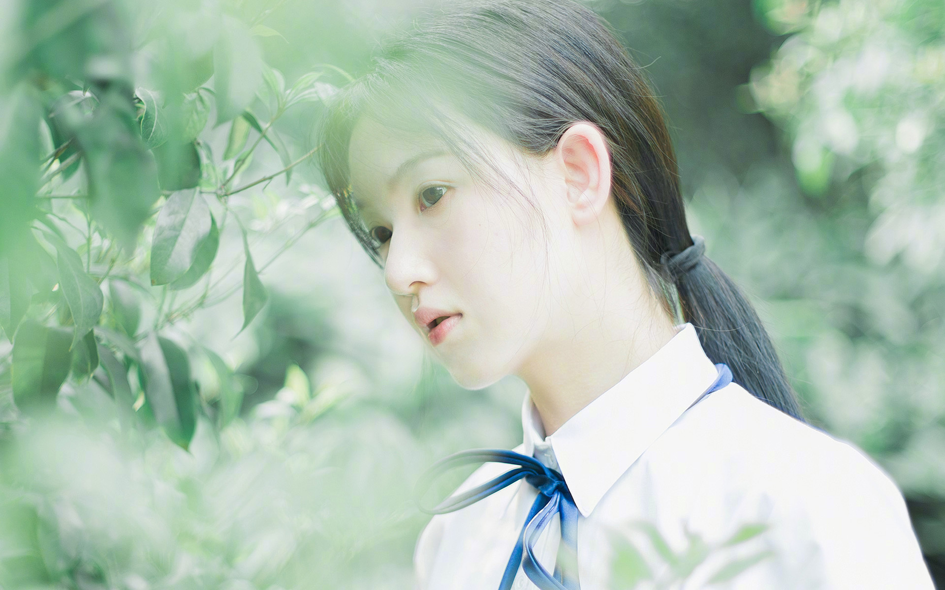 AYX GAME-【传承精神】老一辈棒球人的故事，棒球运动员视频