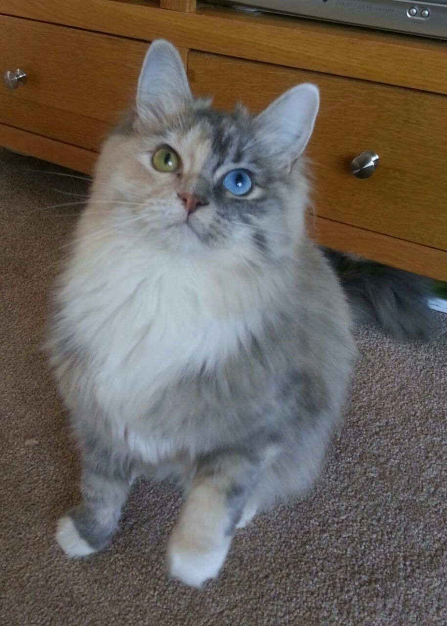 爱游戏-各队“秘密武器”曝光：战术大突破在即？，秘密武器什么意思