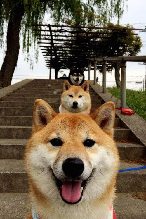 爱游戏官网-德国女子78公斤级柔道选手在比赛中获得第十一名，德国柔道选手硬核热身