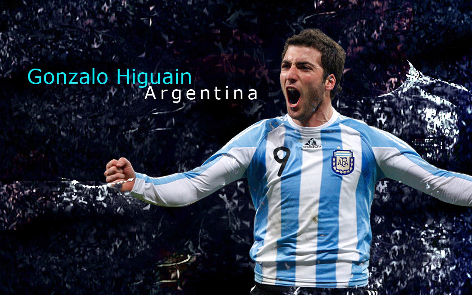 德甲多特蒙德新援表现令人期待,多特蒙德拿过几年德甲冠军