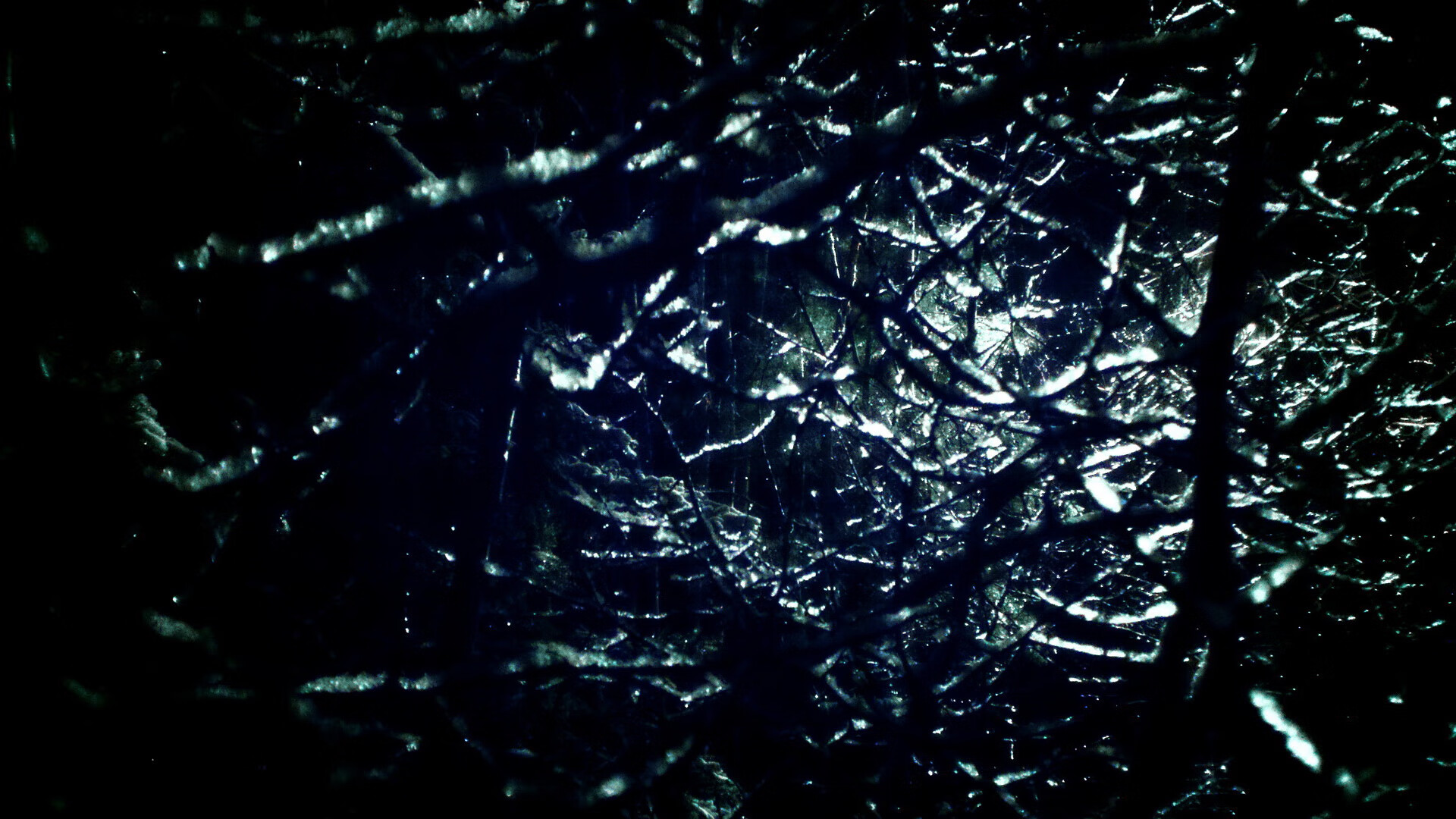 数字技术赋能青训，虚拟实战训练普及推广，数字技能培训大赛