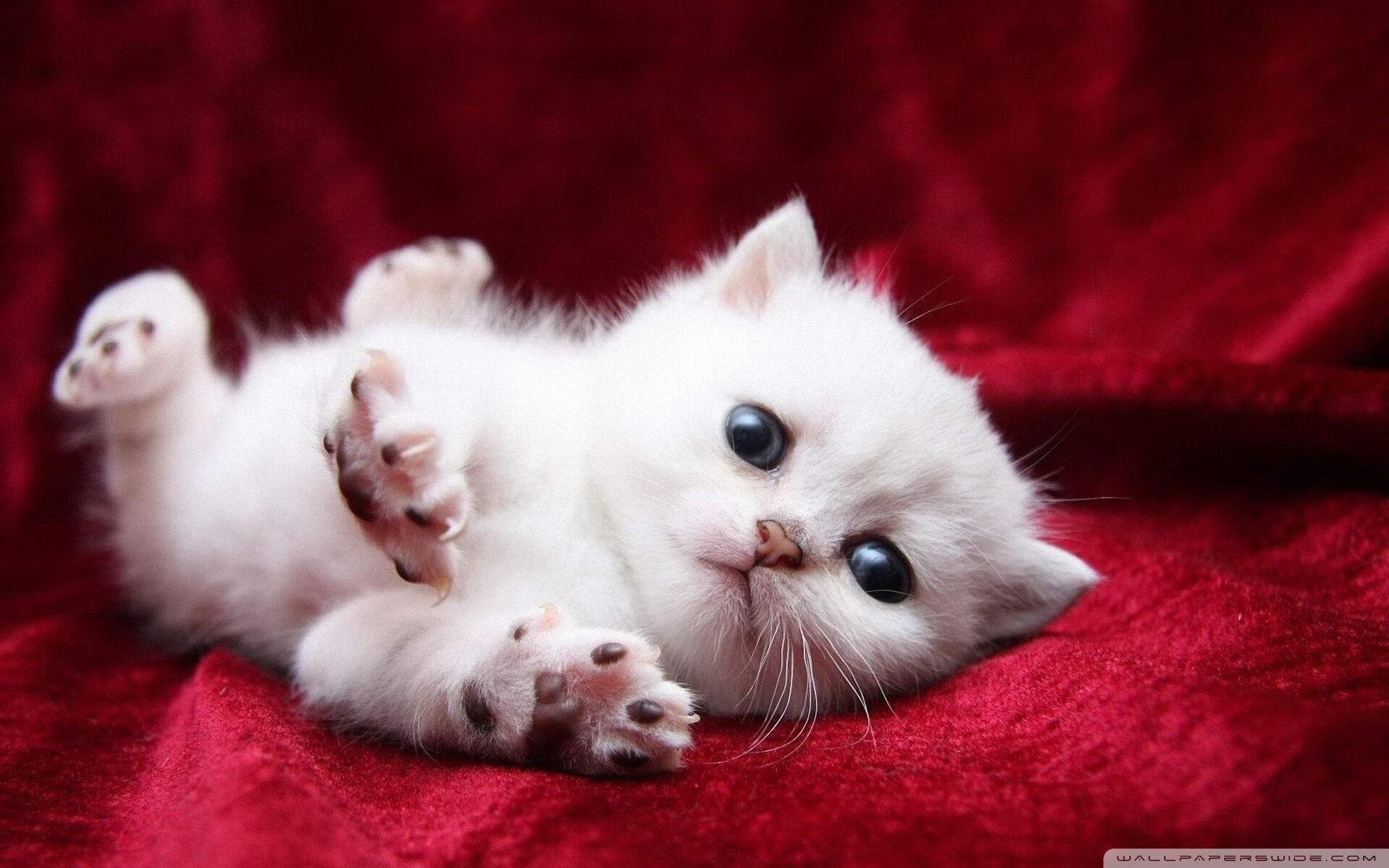 爱游戏体育app-未来联盟：沉浸式虚拟比赛塑造新娱乐生态，未来lol