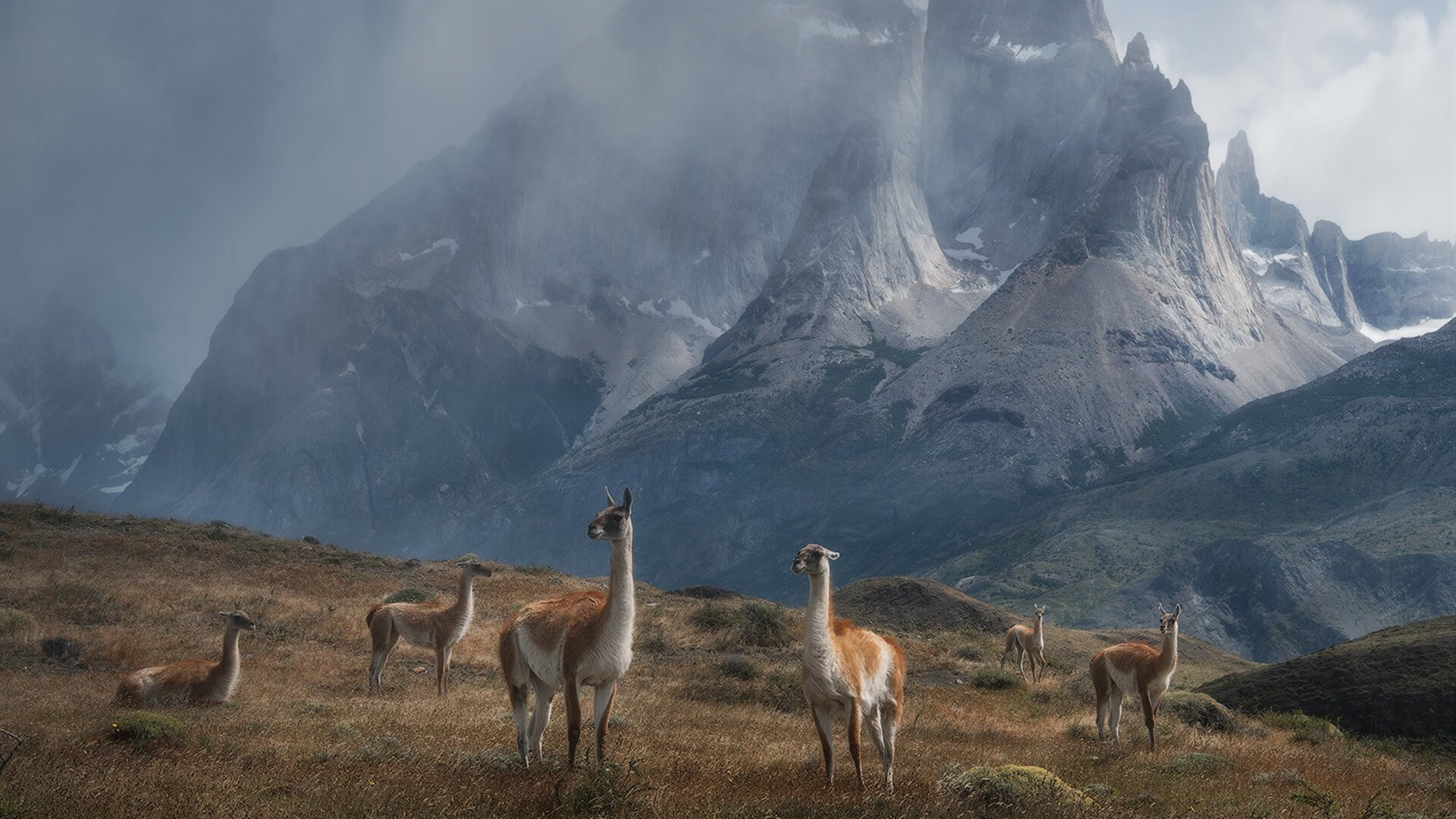 爱游戏app-电竞主题公园落成，打造沉浸式体验空间，电竞馆即将完工