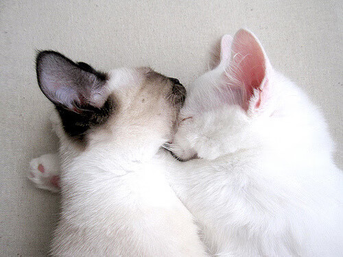 爱游戏娱乐-绝地求生全国线上淘汰赛火爆开启，实力战队争夺高分，绝地求生淘汰被淘汰是什么意思