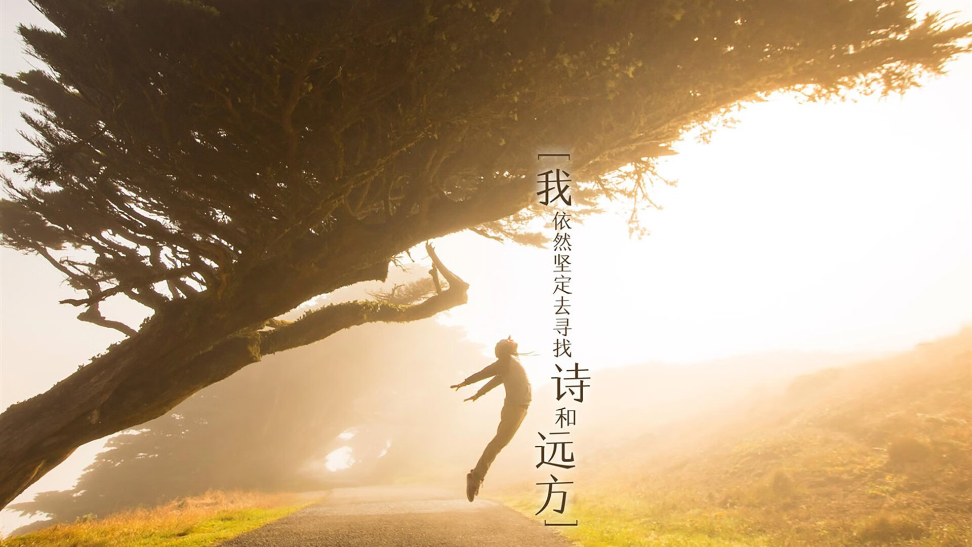 EDG加强运动员赛季恢复和再训练规划，edg报名训练站