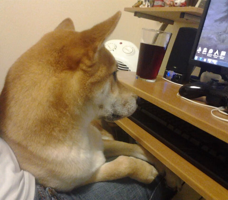 中超联赛深圳佳兆业宣布签约新外援,深圳佳兆业 中超