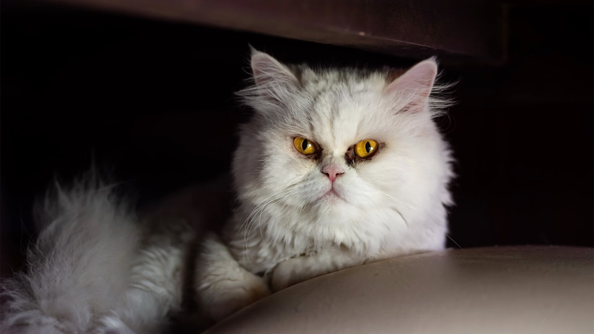 亚特兰大客场取胜,继续冲击欧战席位,亚特兰大攻势足球