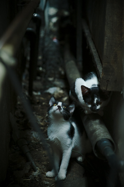 爱游戏登录入口-哥伦比亚女足在巴黎奥运会上取得历史性成绩，哥伦比亚男足队的水平