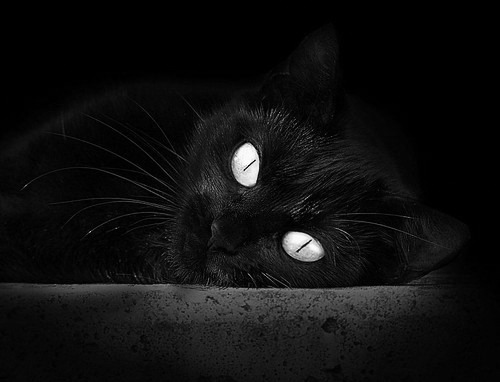 爱游戏平台-多特蒙德主帅谈未来，球队将进行全面调整，多特蒙德最近几任主帅