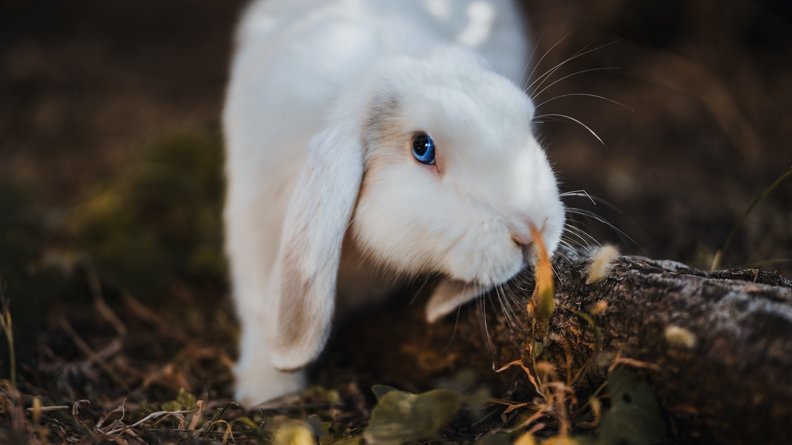 爱游戏官方-山东高速球队关键时刻表现稳定，山东高速球队卖给谁了