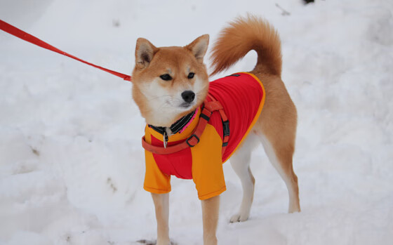 横滨水手年轻球员在德比表现出色,横滨水手年轻球员在德比表现出色的是谁