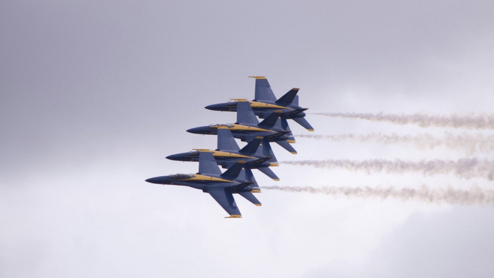 福建豹发力攻防转换更为流畅,福建豹发力阵容