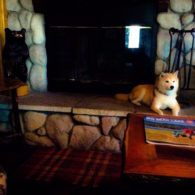 选手心理健康支持项目,心理健康服务能力大赛