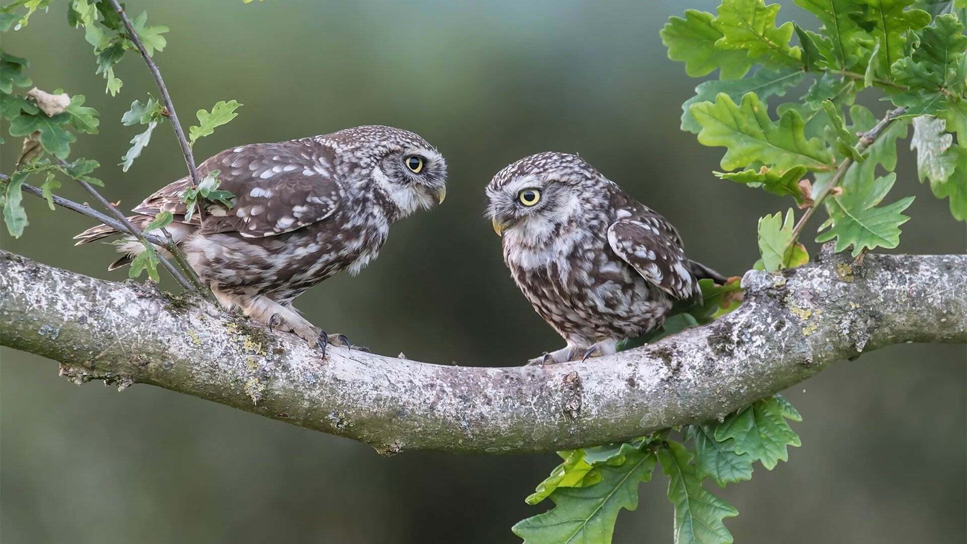 AIYOUXI.COM-马赛队在近期一场大比赛中赢得胜利，展现出强大实力，马赛队历史