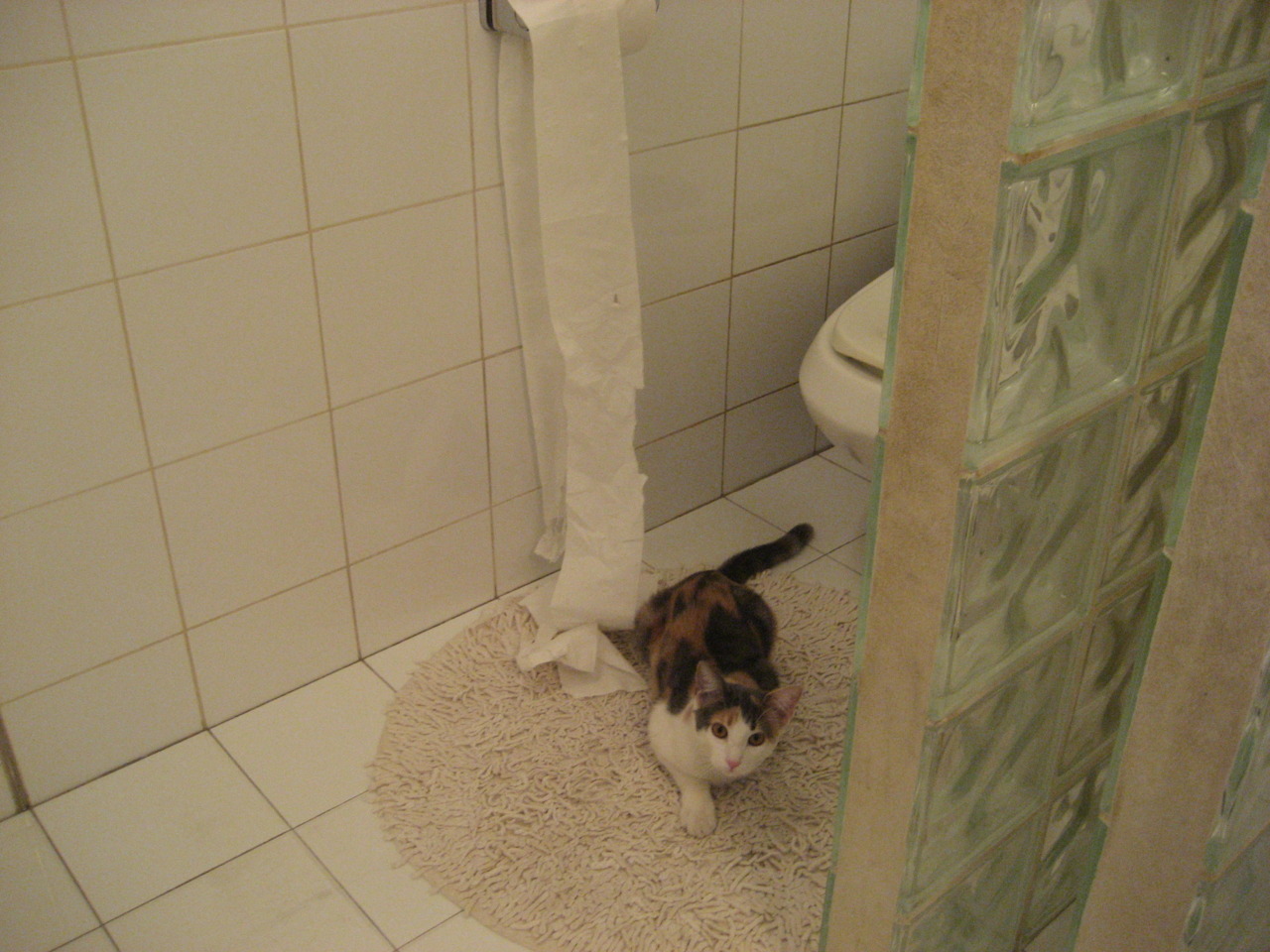 NBA球员训练计划优化方案,nba球队训练