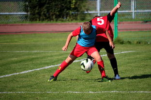 爱游戏娱乐平台-中国足球俱乐部运营效率调查，中国足球俱乐部运营效率调查问卷