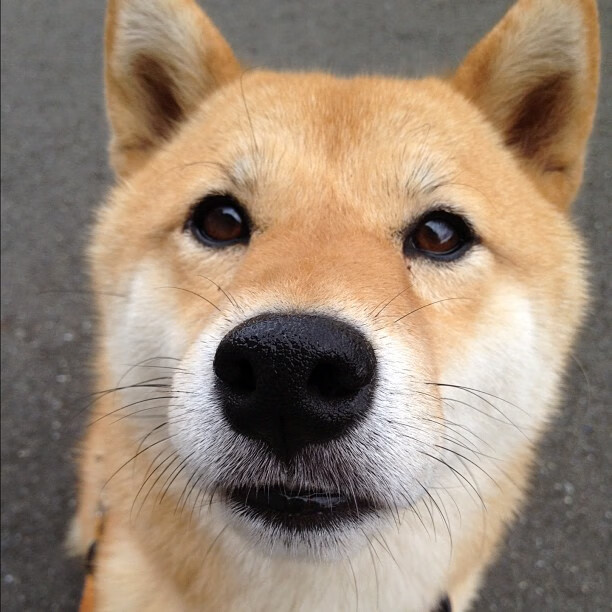 中国青少年篮球推广与校园篮球融合发展,我国青少年篮球训练现状