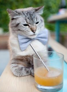 中国青少年篮球推广与校园篮球融合发展,我国青少年篮球训练现状