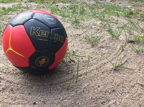 爱游戏在线登录入口-全国老年人健身球操赛展银发激情，老年健身球类