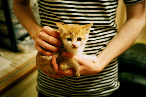 城市夜跑群体行为特征与服务策略研究,城市夜跑说说