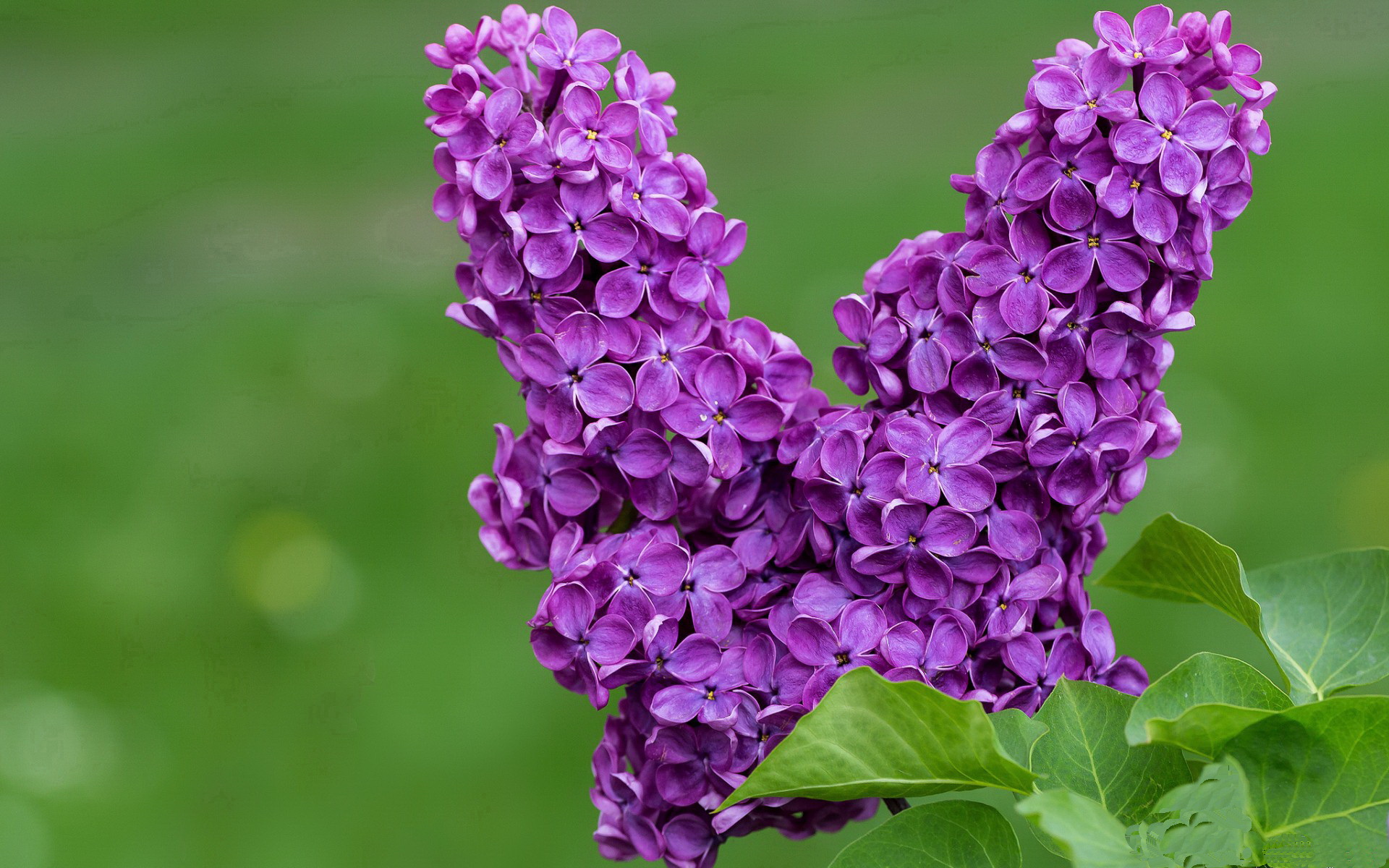 高校体育场馆运营管理创新研究,学校体育场馆运营管理方案