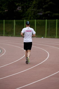 AYX GAMING-高校运动训练效果科学评估研究，运动训练高校排名