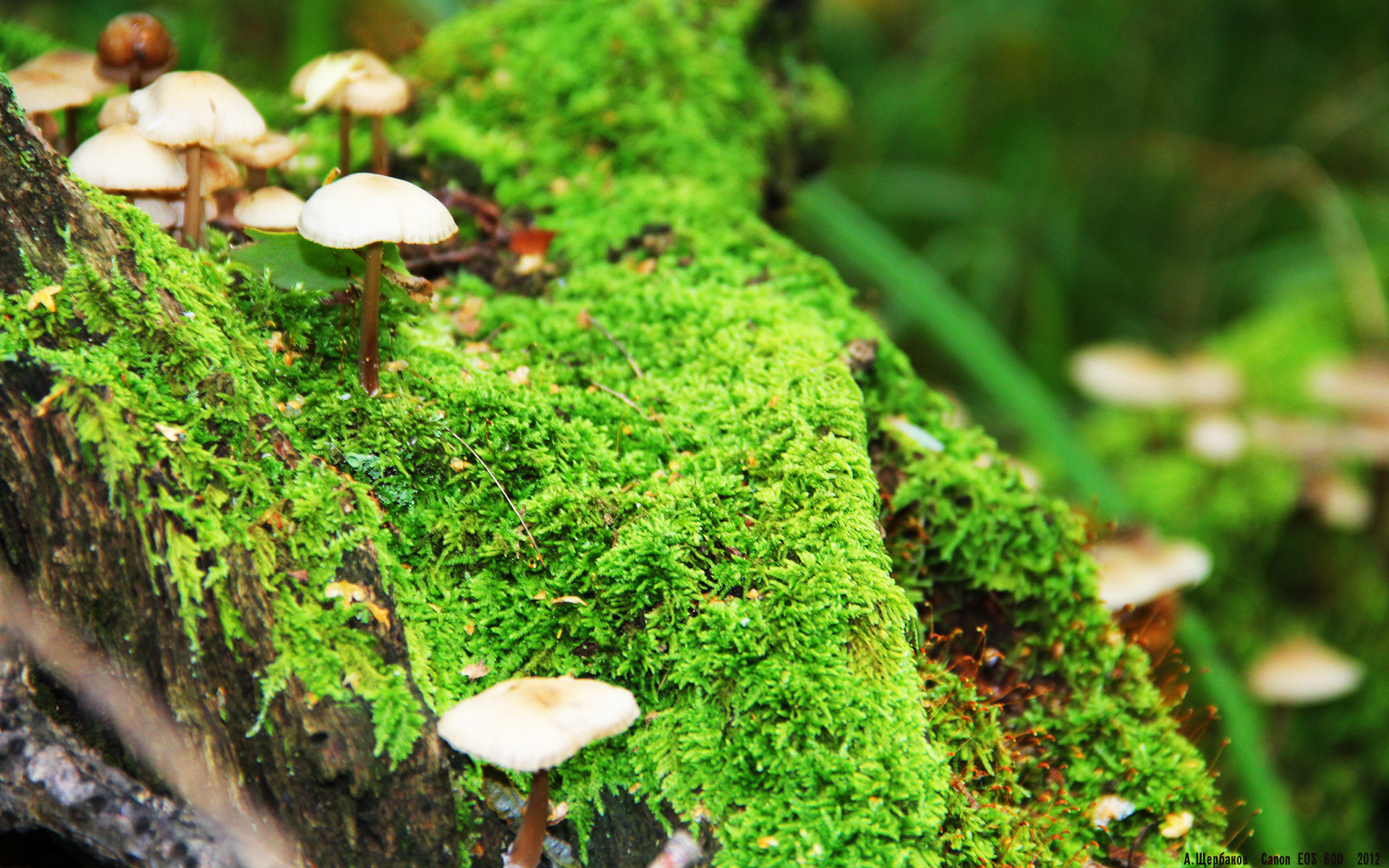 爱游戏体育平台-中国三人篮球女队保持多样化进攻方式，中国三人篮球女队保持多样化进攻方式是什么