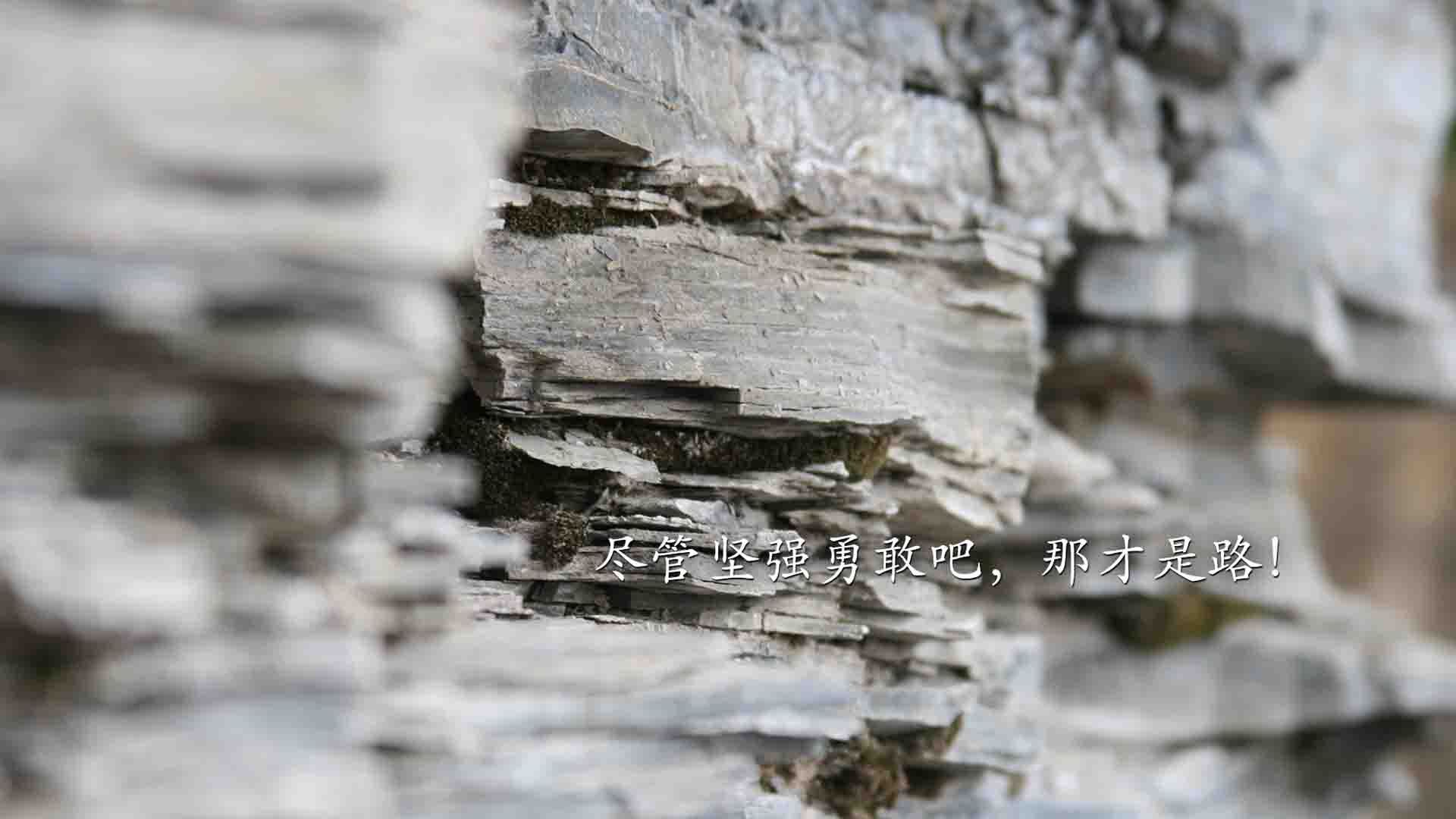 爱游戏体育官方网站-从战术选择到进球手段：压迫正主导现代足球，足球压迫防守