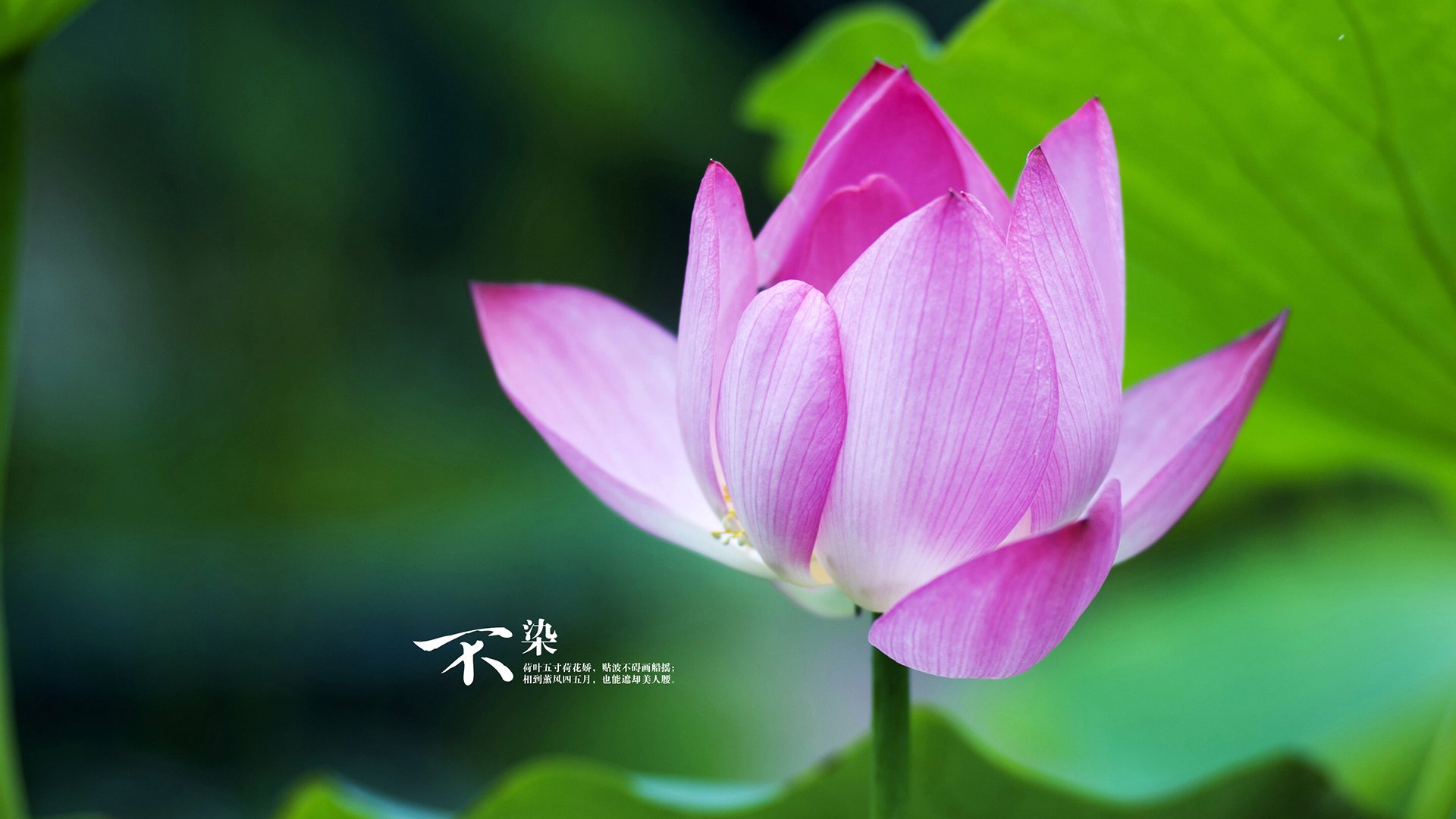 世界杯永恒瞬间:最令人心动的比赛片段,世界杯名场面