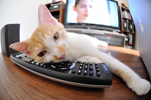 德甲决胜瞬间:关键时刻的奇迹进球,德甲的比赛