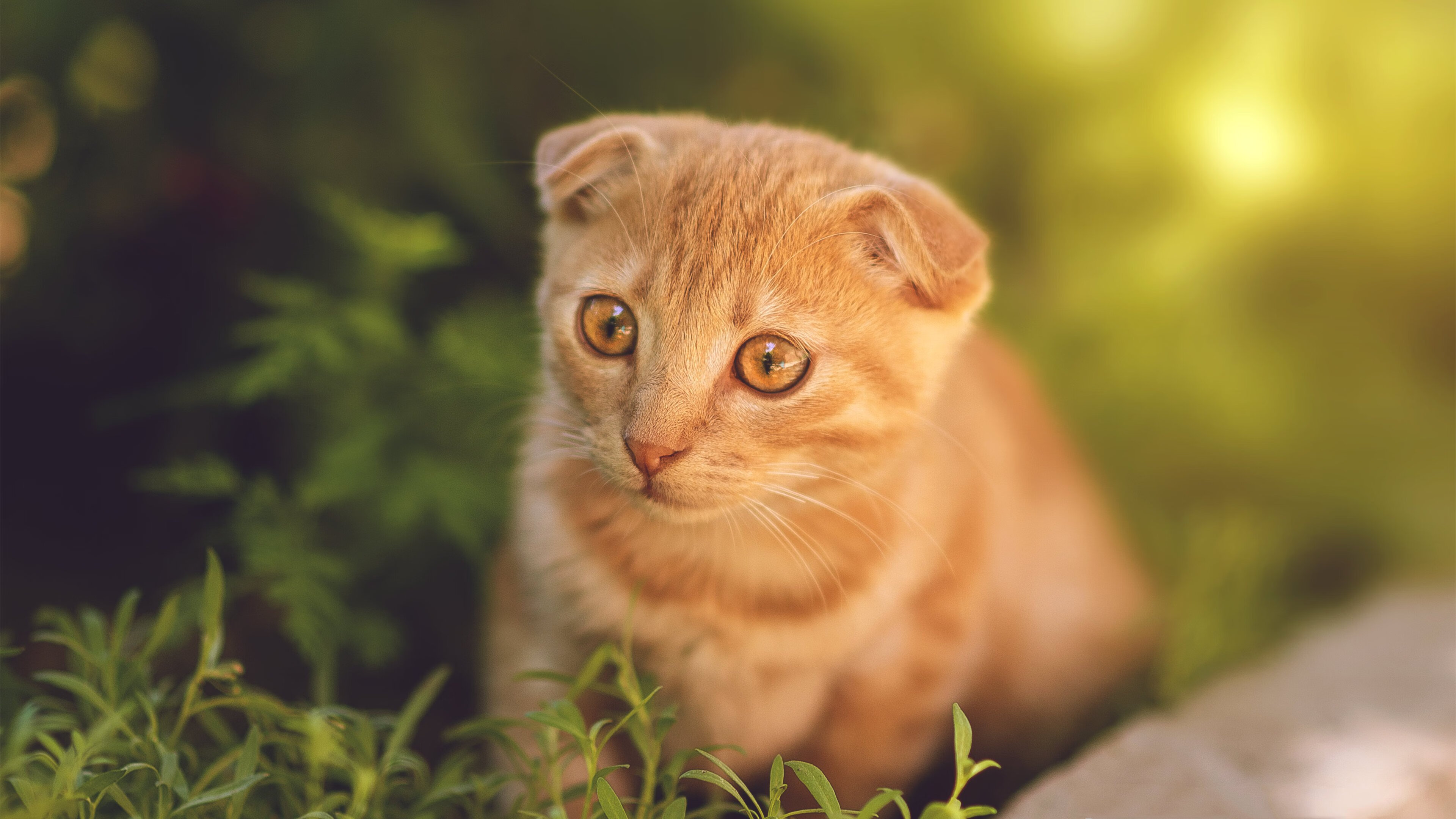 欧洲杯精彩瞬间:队长PK明星百变战术,欧洲杯各国队长