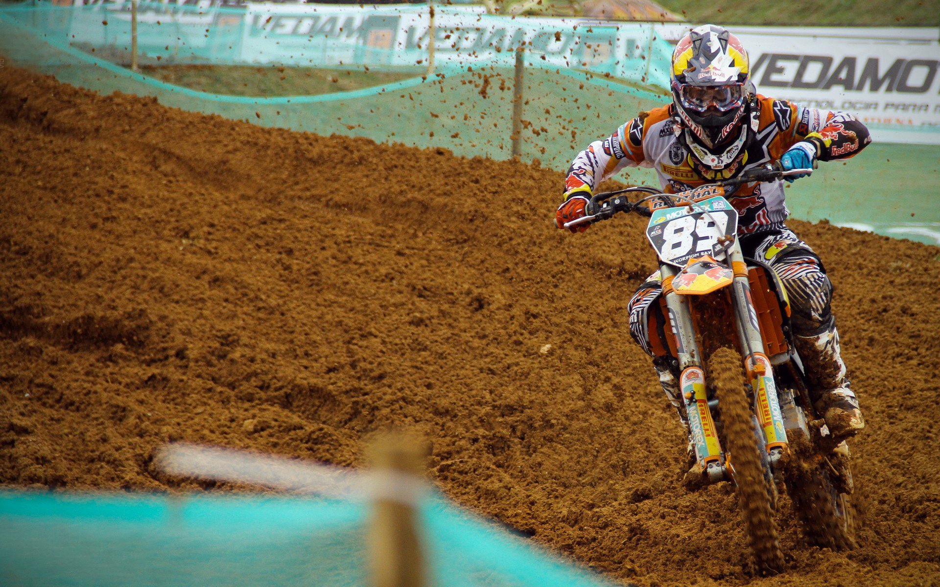 球迷文化节：全球足球狂欢的盛会，球迷聚集